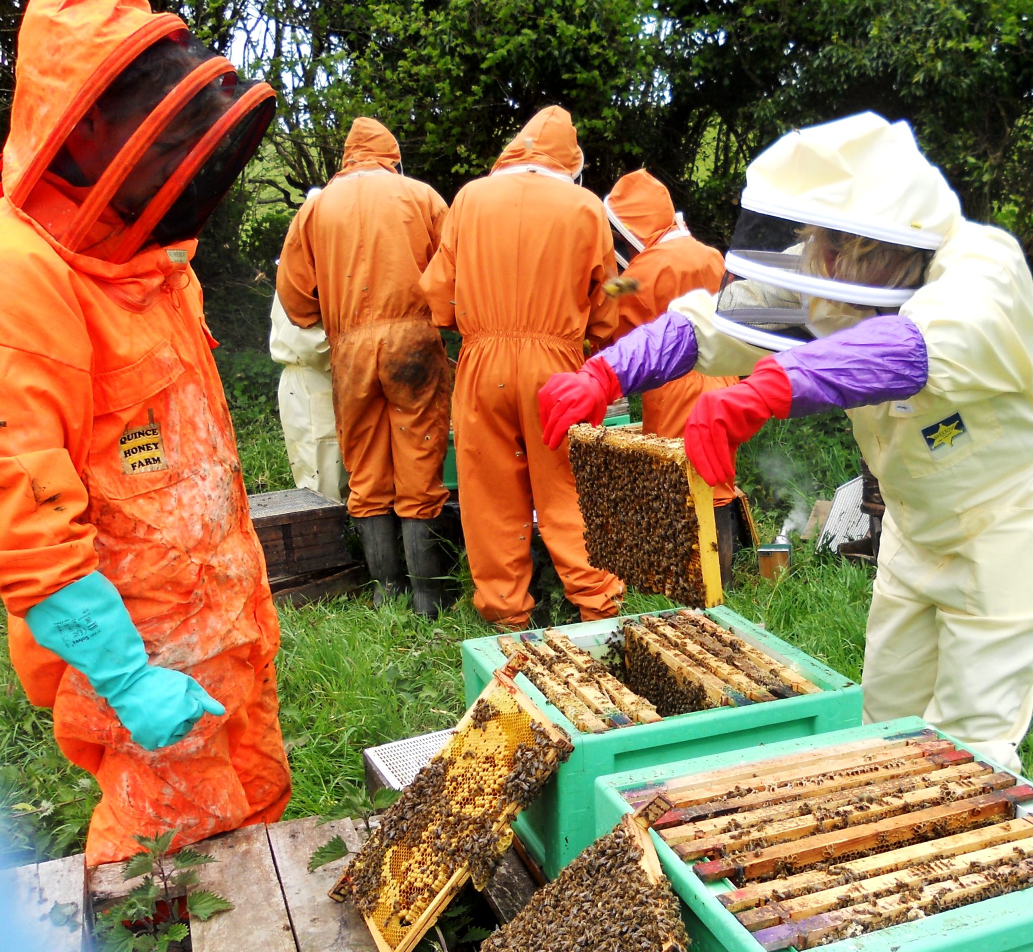 13-opening-a-hive-for-the-first-time-ourselves-and-finding-the-queen